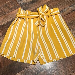 Ann Taylor Drapey Short